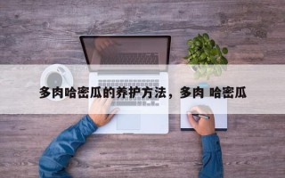多肉哈密瓜的养护方法，多肉 哈密瓜