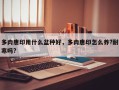 多肉唐印用什么盆种好，多肉唐印怎么养?耐寒吗?