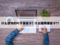 什么植物的叶子像扇子？什么植物像扇子?？
