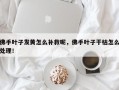 佛手叶子发黄怎么补救呢，佛手叶子干枯怎么处理！