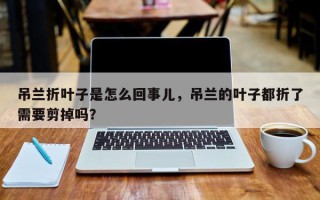 吊兰折叶子是怎么回事儿，吊兰的叶子都折了需要剪掉吗？