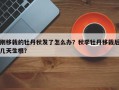 刚移栽的牡丹秋发了怎么办？秋季牡丹移栽后几天生根？