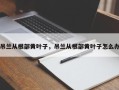 吊兰从根部黄叶子，吊兰从根部黄叶子怎么办