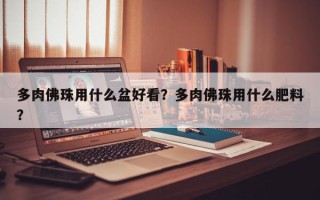 多肉佛珠用什么盆好看？多肉佛珠用什么肥料？