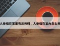 人参榕在家里有忌讳吗，人参榕在室内怎么养