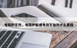 电磁炉不热，电磁炉能通电但不加热什么原因