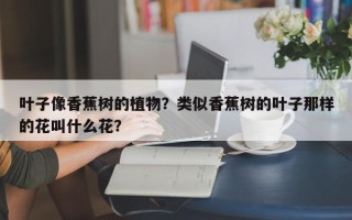 叶子像香蕉树的植物？类似香蕉树的叶子那样的花叫什么花？
