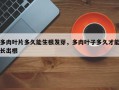多肉叶片多久能生根发芽，多肉叶子多久才能长出根