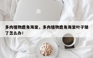 多肉植物鹿角海棠，多肉植物鹿角海棠叶子皱了怎么办！