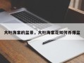 大叶海棠的盆景，大叶海棠花如何养爆盆