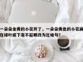 一朵朵金黄的小花开了，一朵朵黄色的小花藏在绿叶底下毫不起眼改为比喻句？