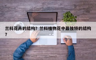 兰科花卉的结构？兰科植物花中最独特的结构？