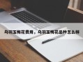 乌羽玉梅花费用，乌羽玉梅花品种怎么样