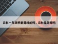 云杉一年四季都是绿的吗，云杉是常绿吗
