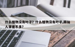 什么植物没有叶子？什么植物没有叶子,跟仙人掌差不多？