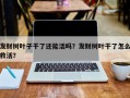发财树叶子干了还能活吗？发财树叶干了怎么救活？