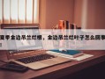 夏季金边吊兰烂根，金边吊兰烂叶子怎么回事！