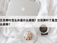 兰花黄叶怎么办是什么原因？兰花黄叶了是怎么回事？