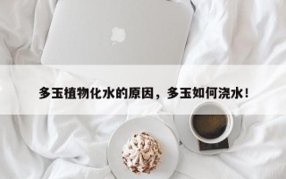 多玉植物化水的原因，多玉如何浇水！