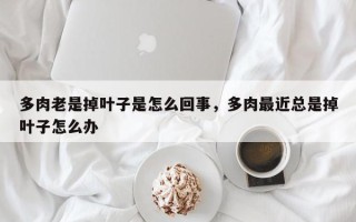 多肉老是掉叶子是怎么回事，多肉最近总是掉叶子怎么办