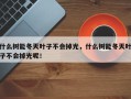 什么树能冬天叶子不会掉光，什么树能冬天叶子不会掉光呢！