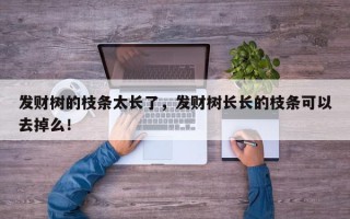 发财树的枝条太长了，发财树长长的枝条可以去掉么！