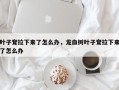 叶子耷拉下来了怎么办，龙血树叶子耷拉下来了怎么办