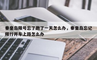 秦皇岛限号忘了跑了一天怎么办，秦皇岛忘记限行开车上路怎么办