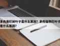 多肉腐烂掉叶子是什么原因？多肉植物烂叶子是什么原因？