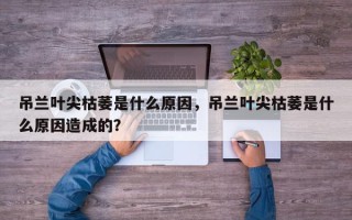 吊兰叶尖枯萎是什么原因，吊兰叶尖枯萎是什么原因造成的？