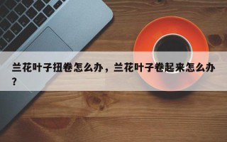 兰花叶子扭卷怎么办，兰花叶子卷起来怎么办？