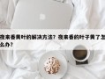 夜来香黄叶的解决方法？夜来香的叶子黄了怎么办？