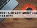 发财树叶子小是什么原因？发财树叶子越长越小是怎么回事?？