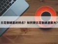 兰花假鳞茎的特点？如何使兰花假鳞茎膨大？
