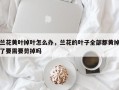 兰花黄叶掉叶怎么办，兰花的叶子全部都黄掉了要需要剪掉吗