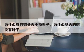 为什么有的树冬天不掉叶子，为什么冬天的树没有叶子