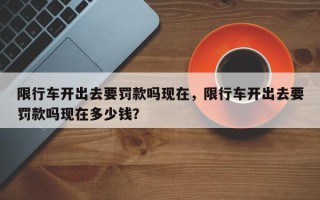 限行车开出去要罚款吗现在，限行车开出去要罚款吗现在多少钱？