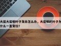 大岩大岩桐叶子发白怎么办，大岩桐的叶子为什么一直耷拉？