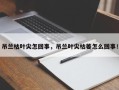 吊兰枯叶尖怎回事，吊兰叶尖枯萎怎么回事！