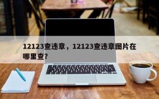 12123查违章，12123查违章图片在哪里查？