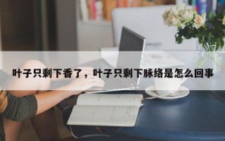 叶子只剩下香了，叶子只剩下脉络是怎么回事