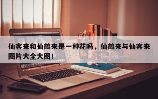 仙客来和仙鹤来是一种花吗，仙鹤来与仙客来图片大全大图！