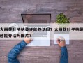 大丽花叶子枯萎还能养活吗？大丽花叶子枯萎还能养活吗图片？