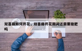 双喜藤如何开花，双喜藤开花期间还需要施肥吗