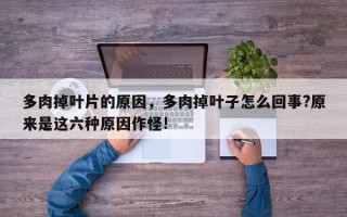 多肉掉叶片的原因，多肉掉叶子怎么回事?原来是这六种原因作怪!