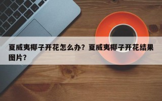 夏威夷椰子开花怎么办？夏威夷椰子开花结果图片？