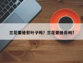 兰花要修剪叶子吗？兰花需修剪吗？