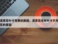 凌霄花叶子发黄的原因，凌霄花光长叶子不开花的原因