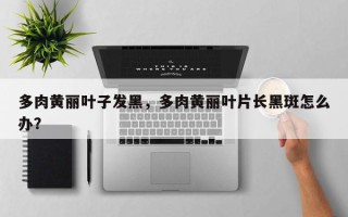 多肉黄丽叶子发黑，多肉黄丽叶片长黑斑怎么办？