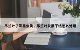 吊兰叶子发黑焦黄，吊兰叶发黑干枯怎么处理